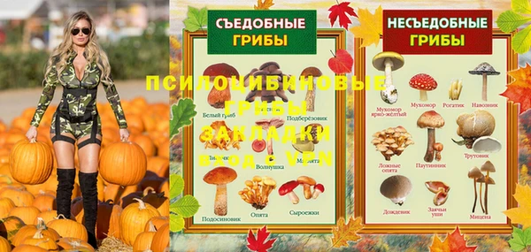 прущие грибы Слюдянка
