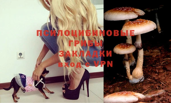 винт Беломорск