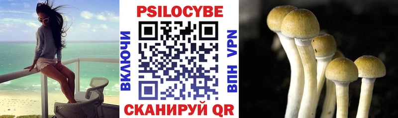 Галлюциногенные грибы прущие грибы  kraken маркетплейс  Боровск 